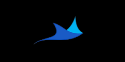 cynomi-logo Cynomi logo