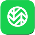 wasabi-logo Wasabi logo