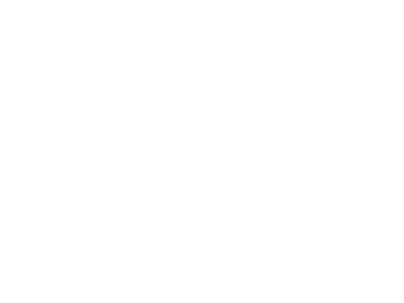 careers-left-quote-white