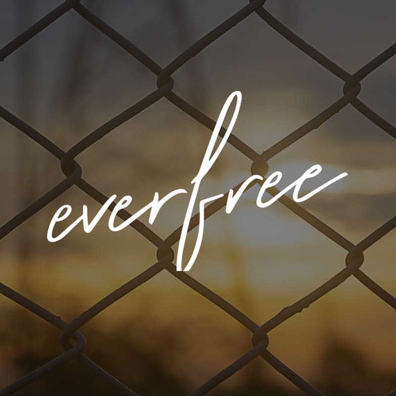 Everfree logo on chain link fence background