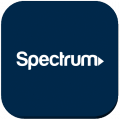 Spectrum Business