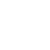 lock with a shield
